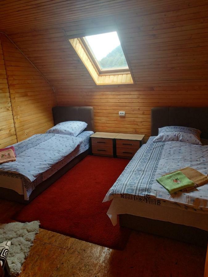 У Оксани Konuk evi Kvasy Dış mekan fotoğraf